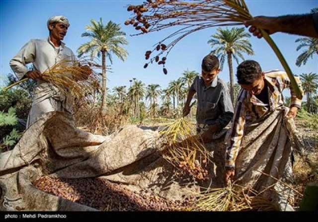 پیام فارس