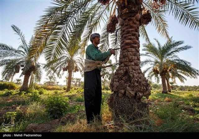 پیام خوزستان