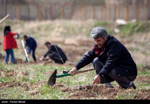 بوستان 50 هکتاری خانواده در جیرفت احداث می‌شود