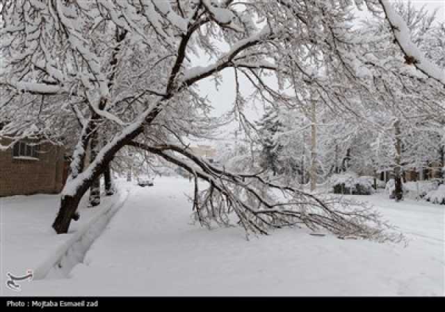 پیام آذری