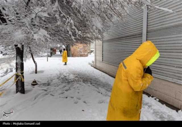 پیام آذری