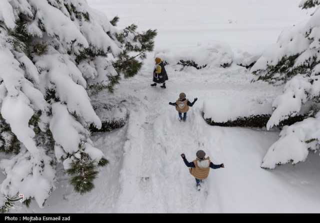 امدادرسانی به 345 گرفتار شده در برف جاده‌های مازندران