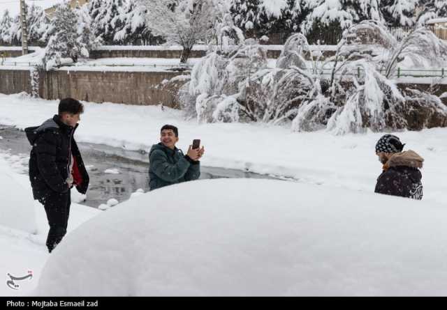 مدارس برخی شهرهای کردستان روز 20بهمن مجازی شد