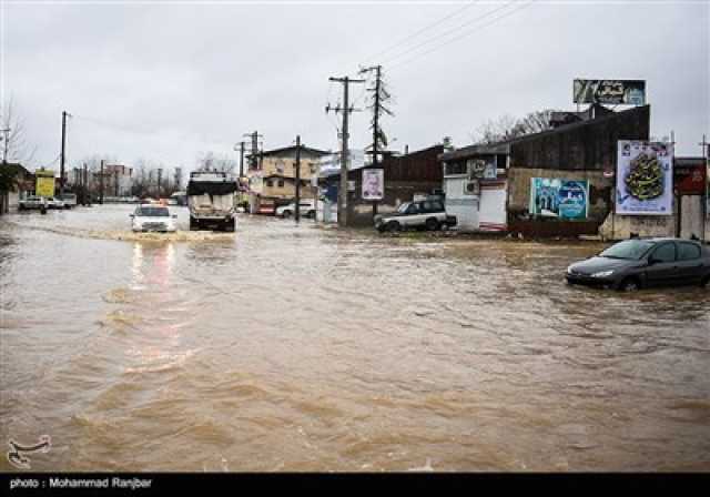 نسیم گیلان