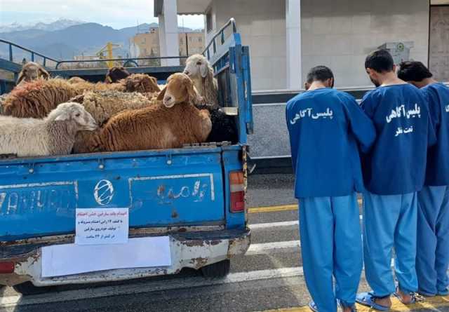 2862 سارق و مالخر در خراسان جنوبی دستگیر شدند