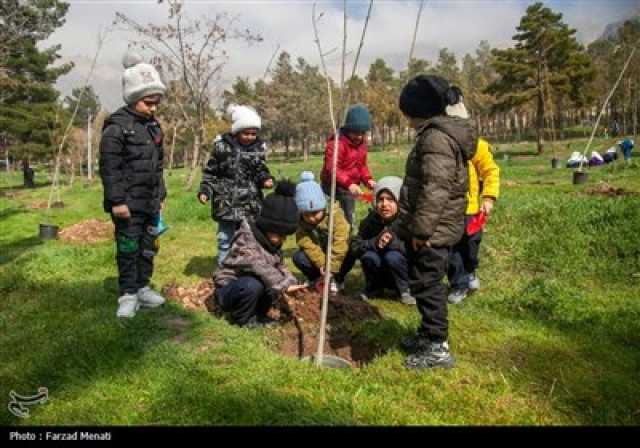 غرس 20 هزار اصله نهال در کرمانشاه