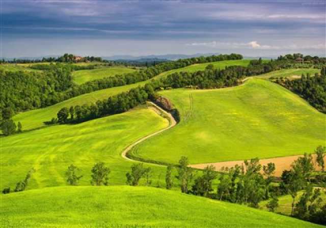 استانداردسازی مرتع‌داری در دستور کار منابع طبیعی مازندران