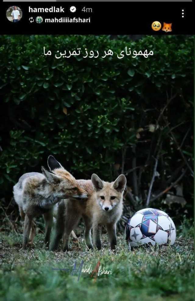 کرمان رصد